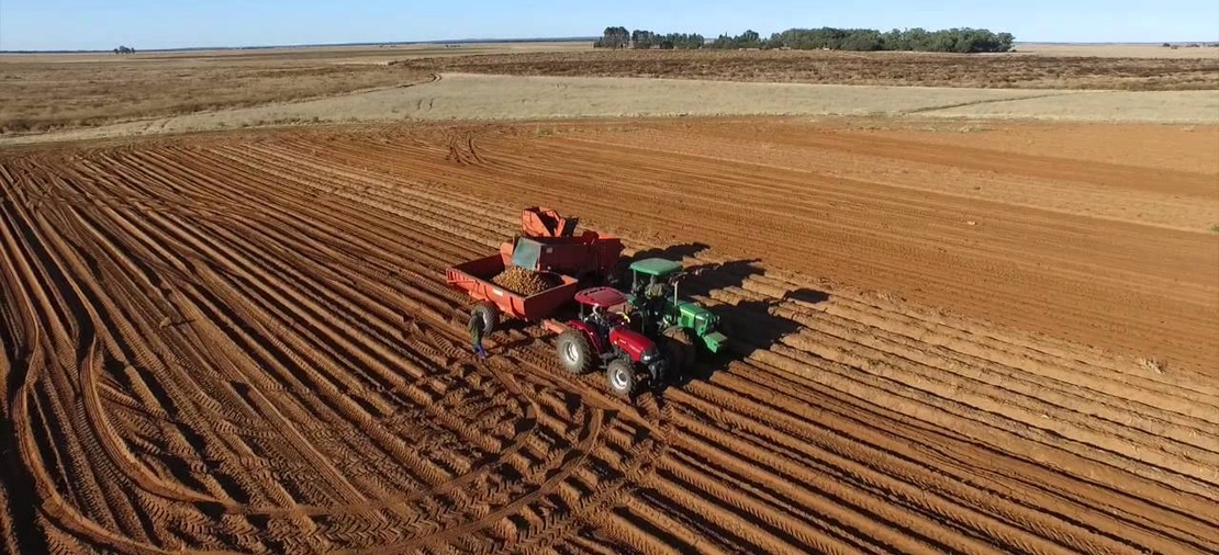 agricultural-development-services