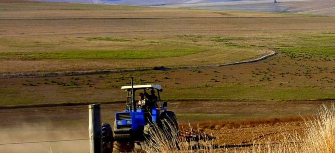 agricultural-development-services