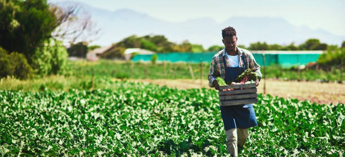 agricultural-development-services