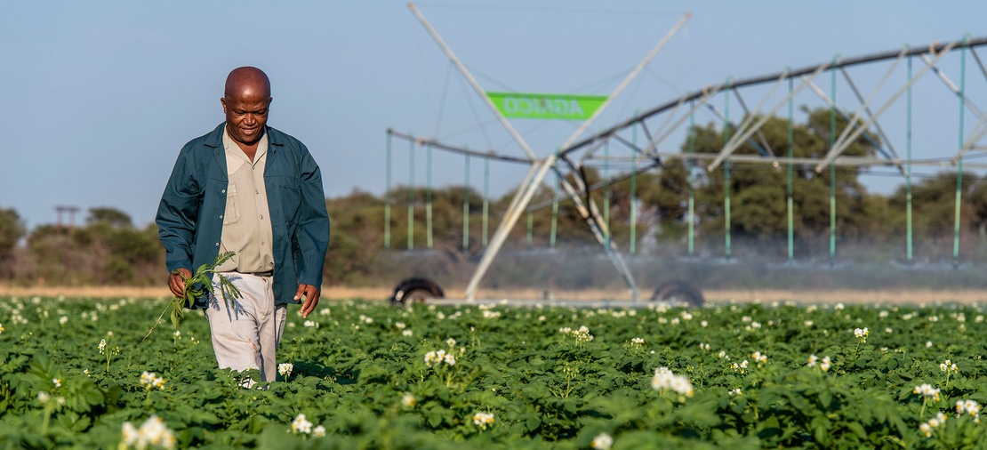 agricultural-development-services